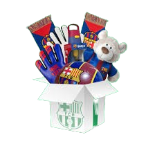 fc barcelona baloncesto